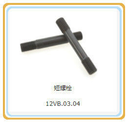 Teile für Standardkomponente Shengdong 12vb