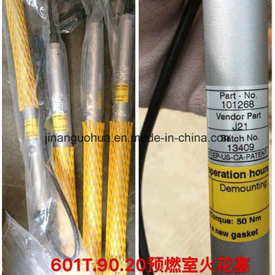 1000 Push Spark Plug für 90.50X/Mot-807bex15/601t. 90.20/B852b3X15-B181 bei Competitive