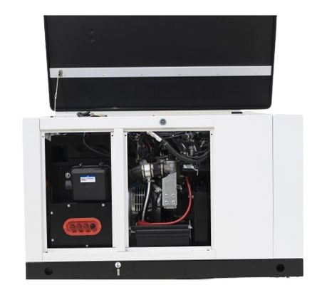 10kw15kw Erdgas 1-Phasen-Propan-Butan-Mischung LPG-Gasgenerator zu Ihrem Vorteil