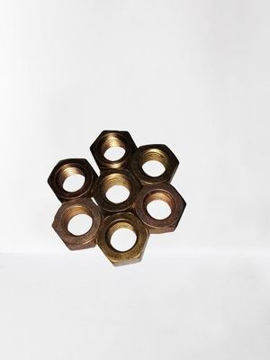 Brüssler Gießung von Hex-Schweißmuttern aus Edelstahl für Schwerlast-Auspuffrohre