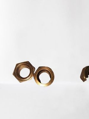 Brüssler Gießung von Hex-Schweißmuttern aus Edelstahl für Schwerlast-Auspuffrohre