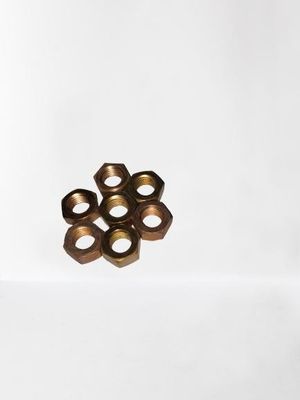 Brüssler Gießung von Hex-Schweißmuttern aus Edelstahl für Schwerlast-Auspuffrohre