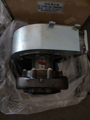 Festanlage W12V190 Shengdong Erdgasgenerator Teile mit Gleichstrom-Ausgang
