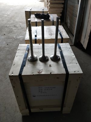 Die Anpassung 118KG W12V190.03.01 Einlassventil für 500 kW Erdgasgenerator Shengdong