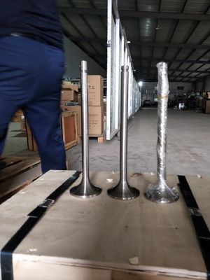 Die Anpassung 118KG W12V190.03.01 Einlassventil für 500 kW Erdgasgenerator Shengdong