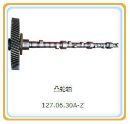Gleichstrom-Ausgangstyp 200 kW 127.06.30-Z-Kampfwellenbaugruppe für Teile von Shengdong-Gasmotoren