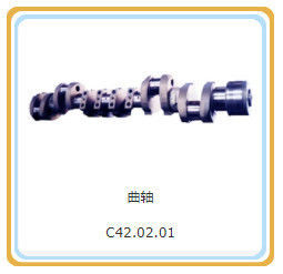 Standardkomponente 12V190 Modell Shengdong Motorteile mit aus Jinan Guohua