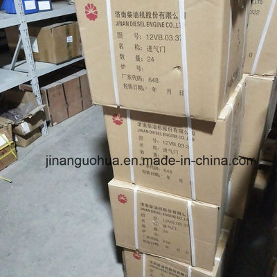 G12V190zldt1-2 Jinan Erdgasgenerator Teile Wasserpumpe nach Nichtstandardkomponenten