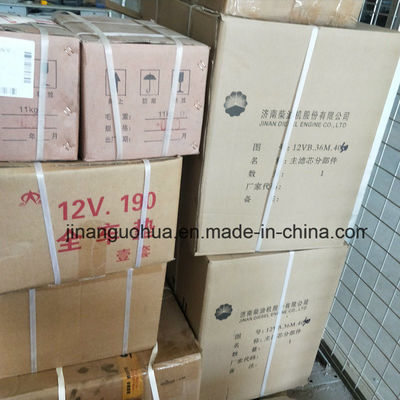 G12V190zldt1-2 Jinan Erdgasgenerator Teile Wasserpumpe nach Nichtstandardkomponenten