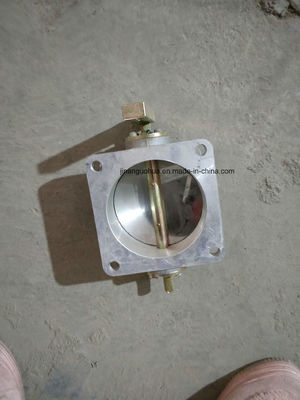 Standard-H16V190zlt-2-Teile für Gasmotoren mit elektronischer Steuerung in geschlossener Schleife für Jichai/Jinan