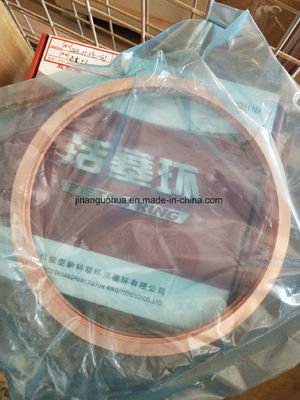 Boot Gasket Zylinderkopf Anpassung Option mit Teilenummer 12vb. 01.03 von Chidong