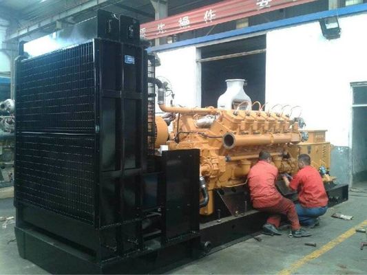 Co810f-3/22 Chidong G12V190zl-3 Dieselmotoren Teile angepasst und ISO9001 zertifiziert