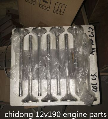 B6190zlc-1 Motorteile für Sandpumpenfahrzeuge Standardkomponente für 100 kg Leistung