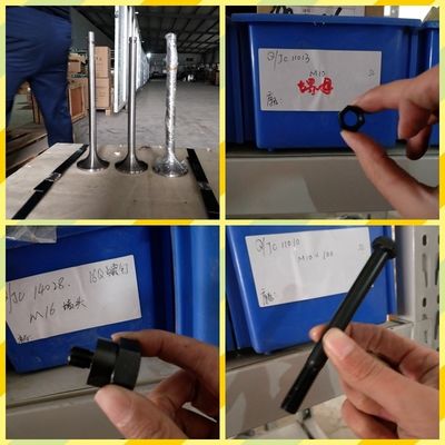 Anpassung der Monitormontage des Dieselmotors Chidong H12V190 für den malaysischen Markt