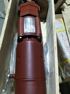 Aluminium 12V190 Ölvorlieferpumpe für Dieselmotorteile 2012.54.00