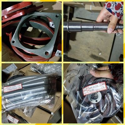 Leistungsschub Co1200/20 A12V190pzl Jinan Dieselmotorteile mit CE-Zertifizierung