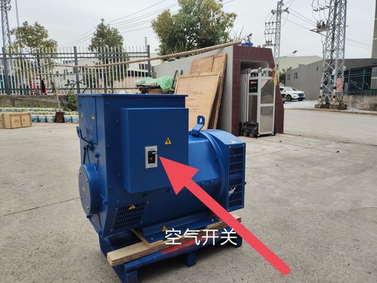 AC Rotating Exciter 50kw Yuchai Gasgenerator für den Haushalt und in Ihrer Farbauswahl