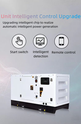 50 kW leise Dieselgenerator Set mit einem Jahr nach Lieferung oder 1500 Stunden Akkumulativ