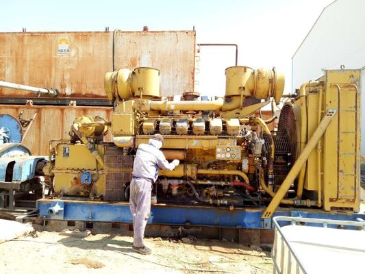 Gleichstromgenerator mit 500 kW Leistung für Anlagen zur Energieumwandlung von Tierabfällen