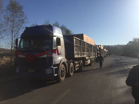 500 kW leise Biogasanlage mit Standard- und ISO-Zertifizierung