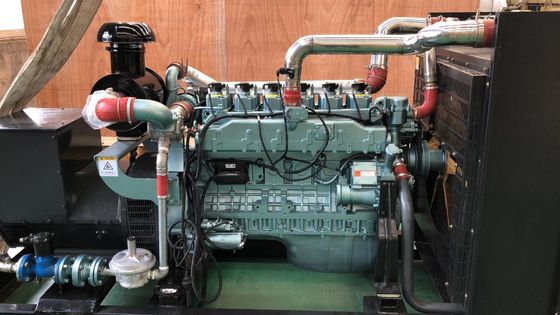 200 kW Erdgasgenerator einfach zu bedienen und gut funktionierend für den Einlassdruck Impulse