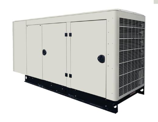 60 kVA Biogasgenerator für den Schlachthof 1500 / 1800 Rmp